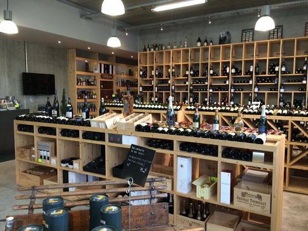 17200884 1947515612137268 2193039176600050259 n